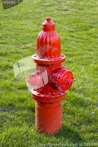 Image of Red Fire Hydrant