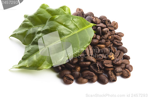Image of coffee grains and leaves
