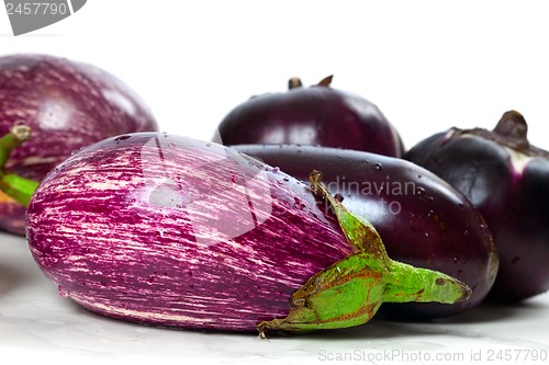 Image of Different varieties of eggplant 