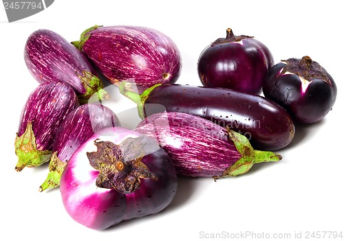 Image of Different varieties of eggplant with water drops 