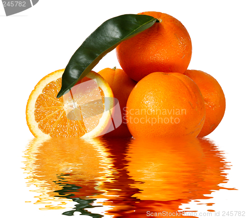 Image of Oranges