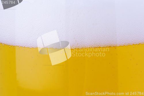 Image of beer bubbles