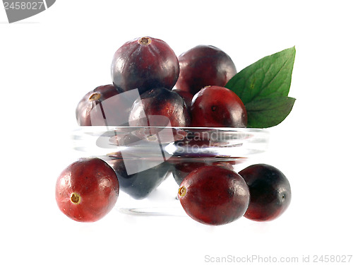 Image of cranberries