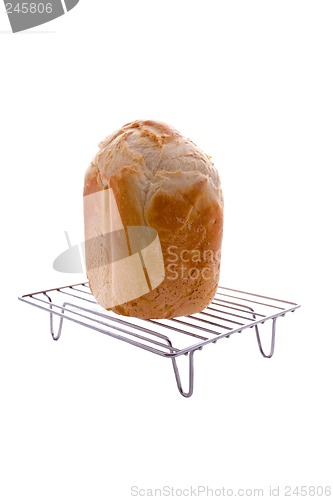 Image of Bread