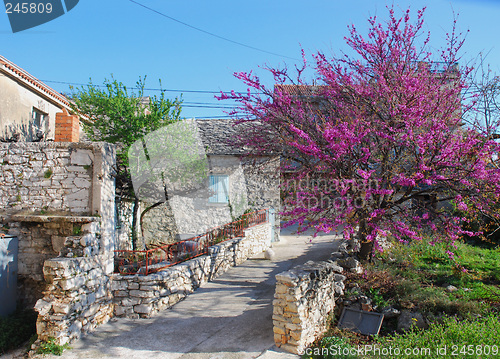 Image of Stonehouse 2. Primosten, Croatia