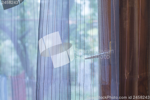 Image of Transparent curtain on window