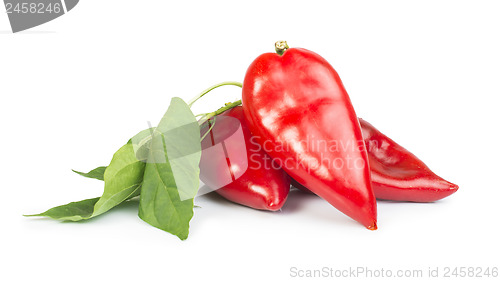 Image of Red peppers and leaves