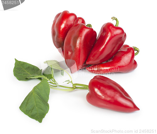 Image of Red peppers and leaves