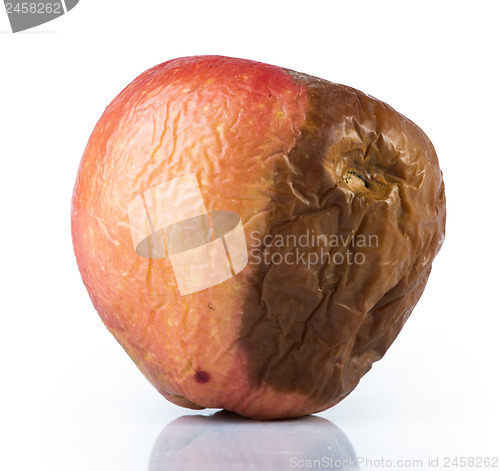 Image of Rotten apple