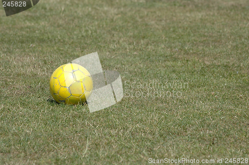 Image of Yellow ball