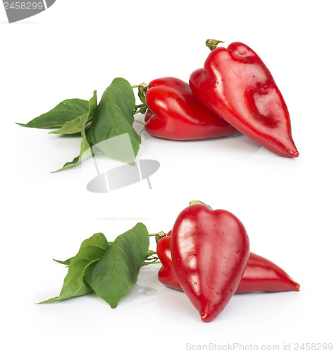 Image of Red peppers and leaves