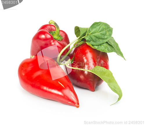 Image of Red peppers and leaves