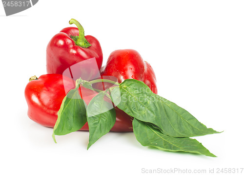 Image of Red peppers and leaves