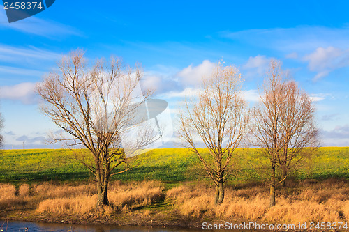 Image of Autumn Landscape In Sunny Day