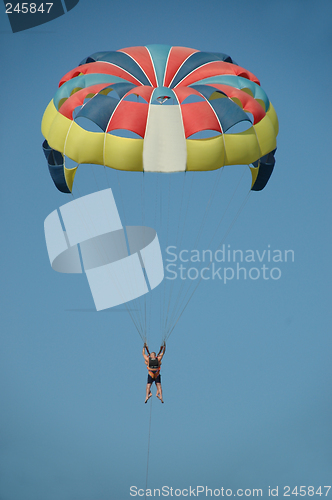 Image of Paraglider