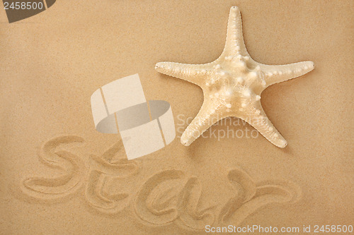 Image of Sea Star 