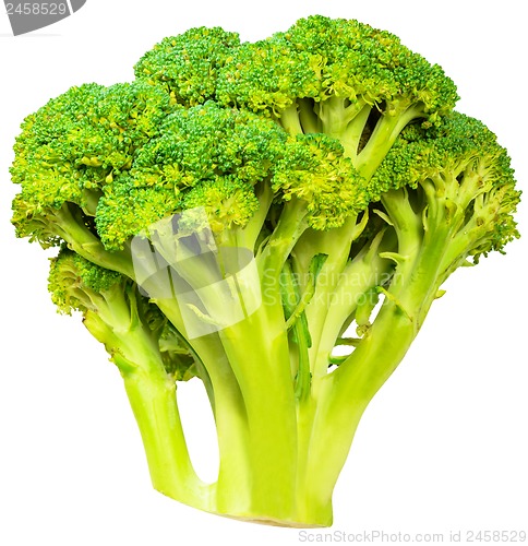 Image of Broccoli cabbage