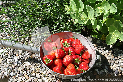 Image of Strawberries in oldfashioned strainer