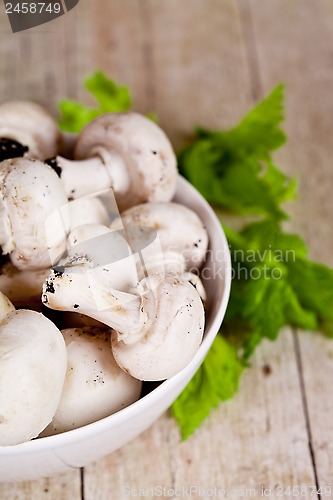 Image of  fresh champignons 
