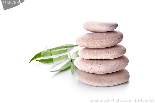 Image of stones and green leaves 