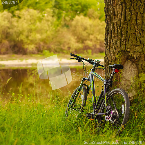 Image of Black GT bike standing near oak trunk on a spring sunny park. MI