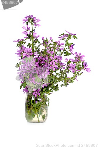 Image of wild violet flowers in glass jar