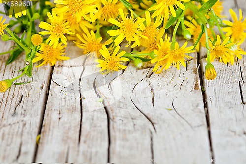 Image of yellow flowers closeup on rustic wooden background