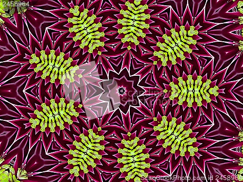 Image of Chrysanthemum natural pattern