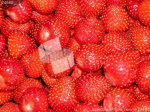 Image of Washed Strawberries