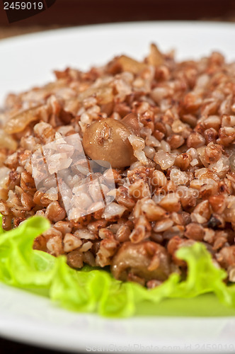 Image of buckwheat