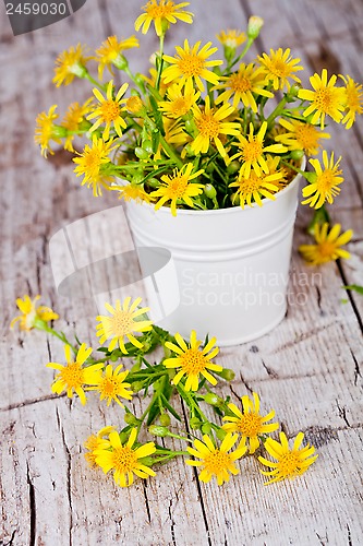 Image of wild yellow flowers in bucket 