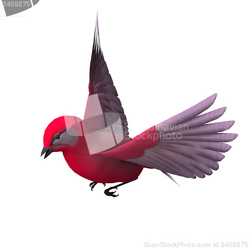 Image of Tanager