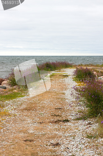 Image of Road leading to the sea