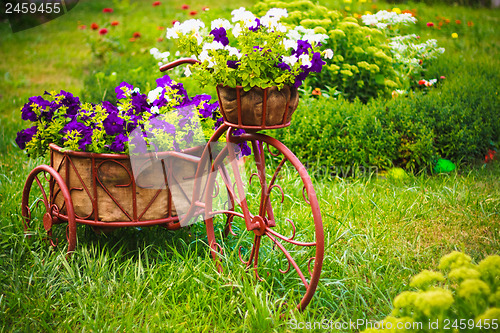 Image of Decorative Bicycle In Garden 