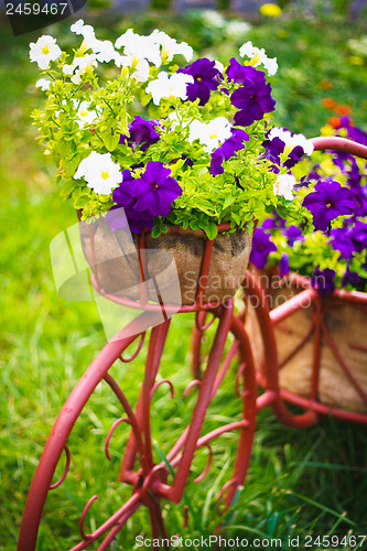 Image of Decorative Bicycle In Garden 
