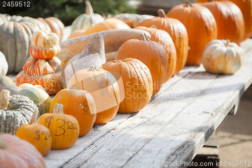 Image of Fresh Orange Pumpkins and Hay in Rustic Fall Setting
