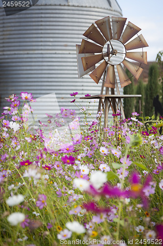 Image of Antique Farm Windmill and Silo in a Flower Field 
