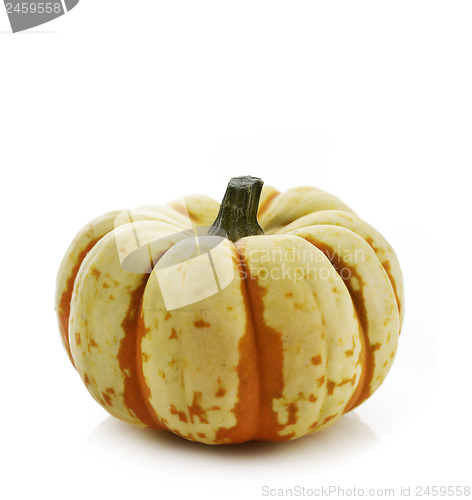 Image of Pumpkin