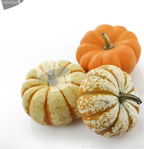 Image of Pumpkins