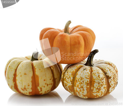 Image of Pumpkins