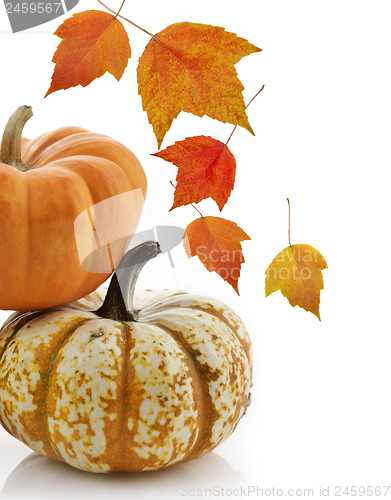 Image of Pumpkins