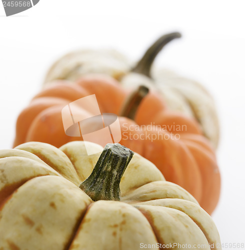 Image of Pumpkins