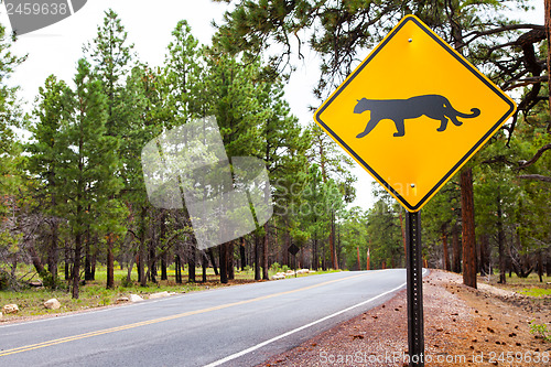 Image of Grand Canyon Road