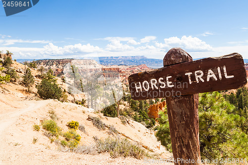 Image of Horse Trail