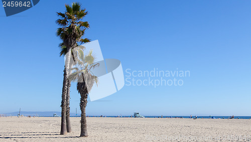 Image of Santa Monica Beach