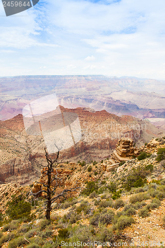 Image of Grand Canyon