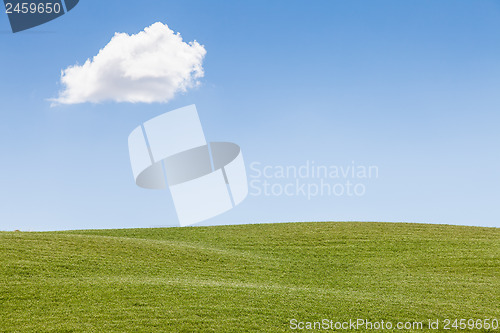 Image of Green field in Tuscany