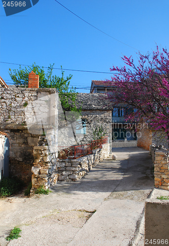 Image of Stonehouse 3. Primosten, Croatia