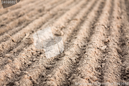 Image of Furrows in a field after plowing it. 