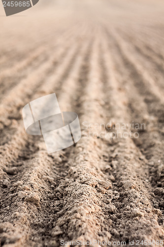 Image of Furrows in a field after plowing it. 